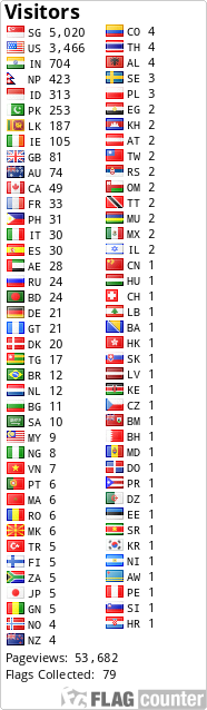Flag Counter
