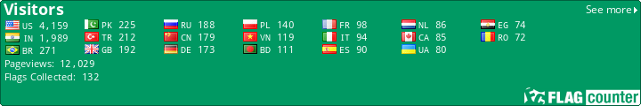 Flag Counter