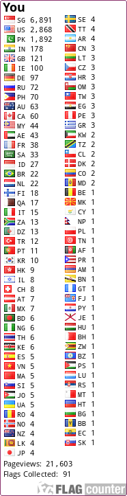 Flag Counter