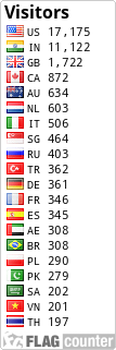 Flag Counter