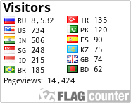 Flag Counter