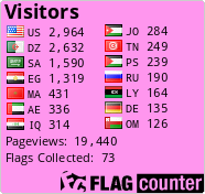 Flag Counter
