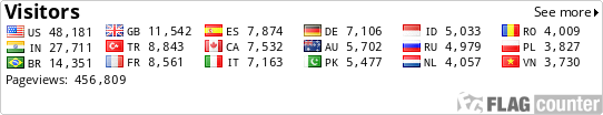 Flag Counter