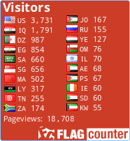 Flag Counter