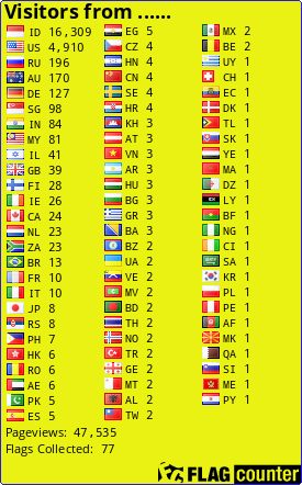 Flag Counter