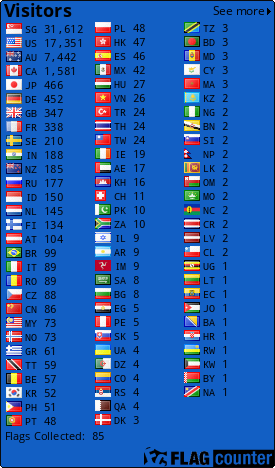 Flag Counter