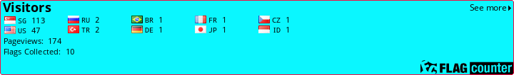 Flag Counter