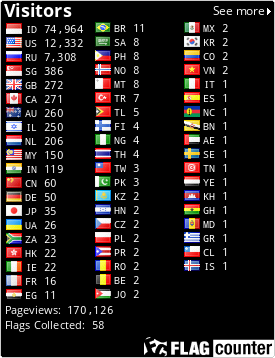 Flag Counter
