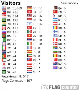Flag Counter