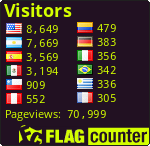 Flag Counter