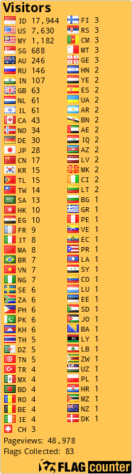 Flag Counter
