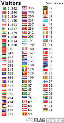 Flag Counter