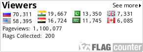 Flag Counter