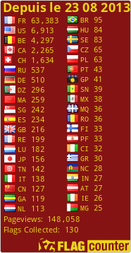 Flag Counter