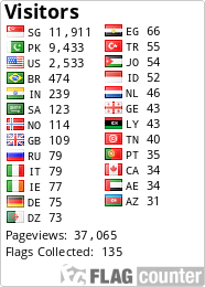 Flag Counter