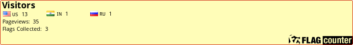 Flag Counter