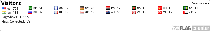 Flag Counter