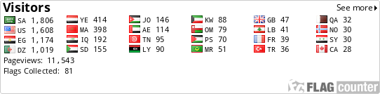 Flag Counter
