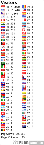 Flag Counter