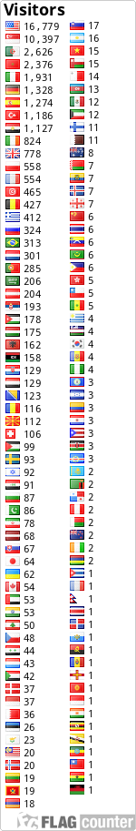 Flag Counter