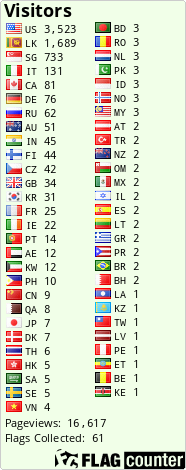 Flag Counter
