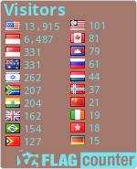 Flag Counter