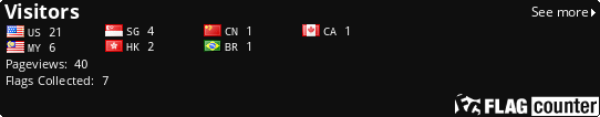Flag Counter