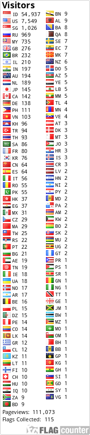 Flag Counter