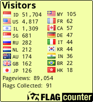 Flag Counter