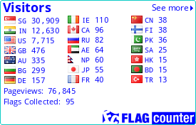 Flag Counter