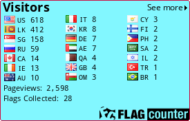 Flag Counter