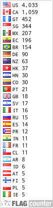 Flag Counter