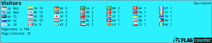 Flag Counter