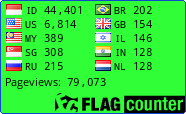 Flag Counter