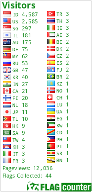 Flag Counter