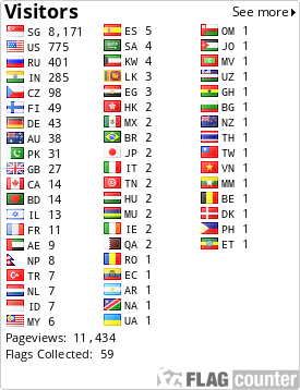 Flag Counter