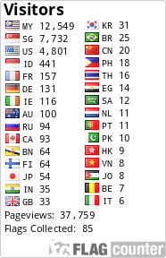 Flag Counter
