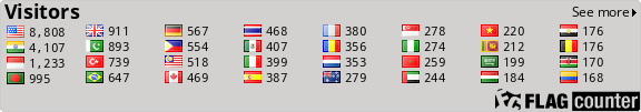 Flag Counter