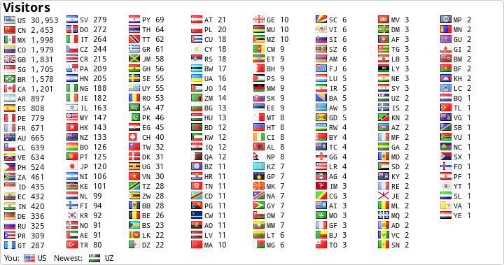 Flag Counter