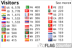 Flag Counter