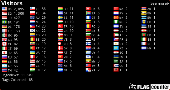 Flag Counter