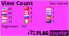 Flag Counter