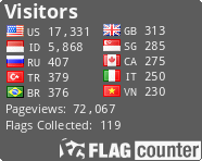 Flag Counter