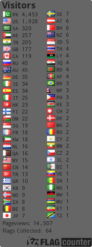 Flag Counter
