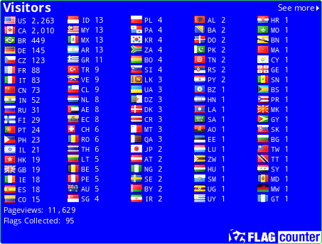 Flag Counter