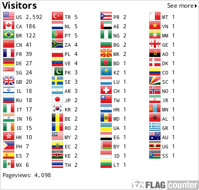 Flag Counter