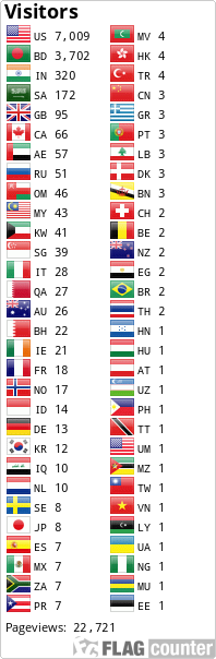 Flag Counter