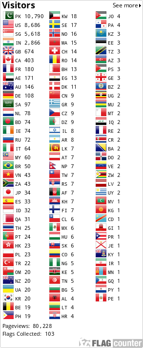 Flag Counter