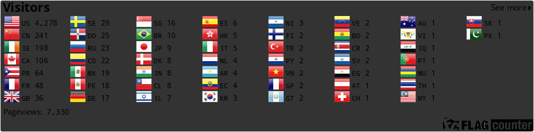 Flag Counter