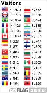 Flag Counter